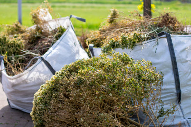 Best Junk Hauling Services  in Palatine, IL